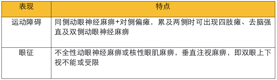 不同部位脑出血的表现-20 不同部位脑出血的表现-20