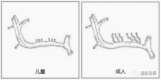 【病例】婴儿外伤后基底节梗死1例CT及MR-5