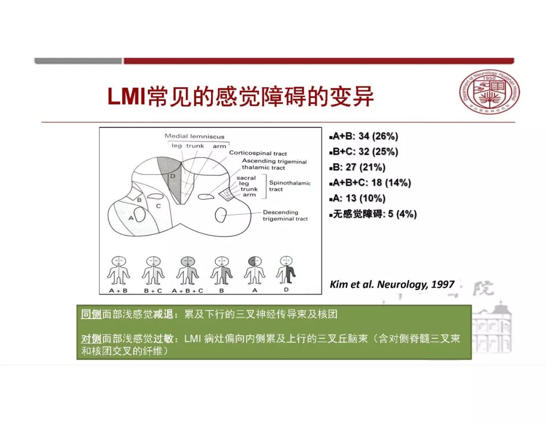 【PPT】脑血管的解剖基础-34