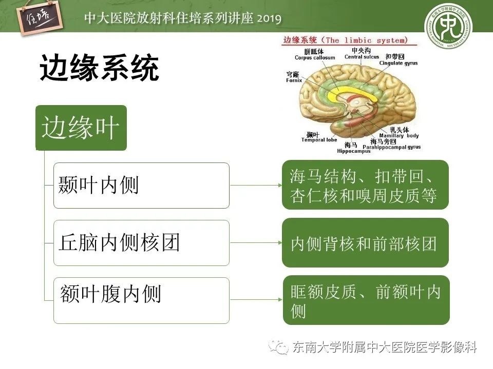 【PPT】自身免疫性脑炎影像表现及诊断
