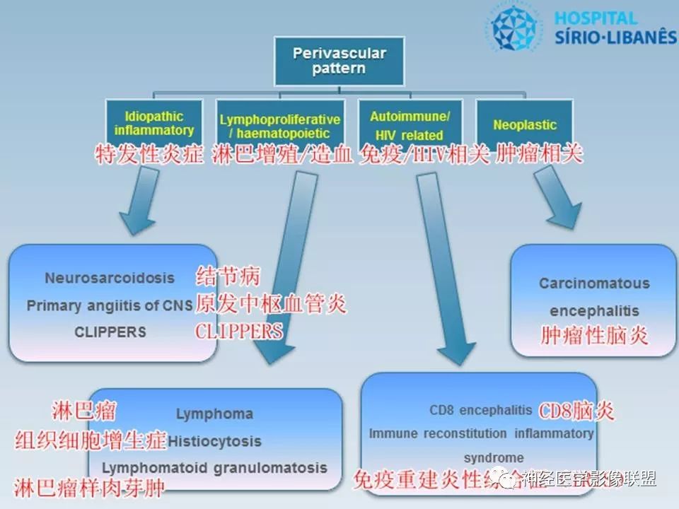 【PPT】血管周围间隙模式：血管与脑组织之间病变诊断