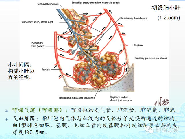 肺粟粒样结节鉴别诊断