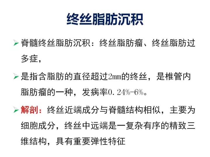 【PPT】腰椎退行性疾病影像学诊断