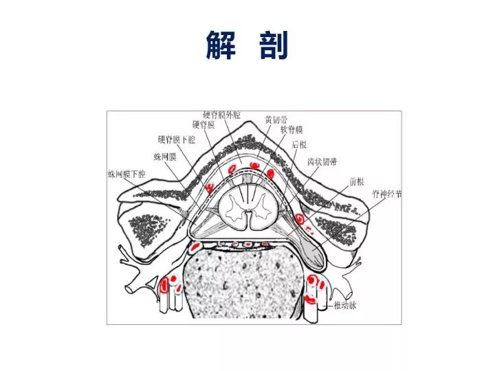 【PPT】腰椎退行性疾病影像学诊断