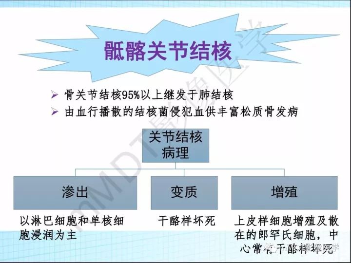 【PPT】骶髂关节非肿瘤病变的影像诊断