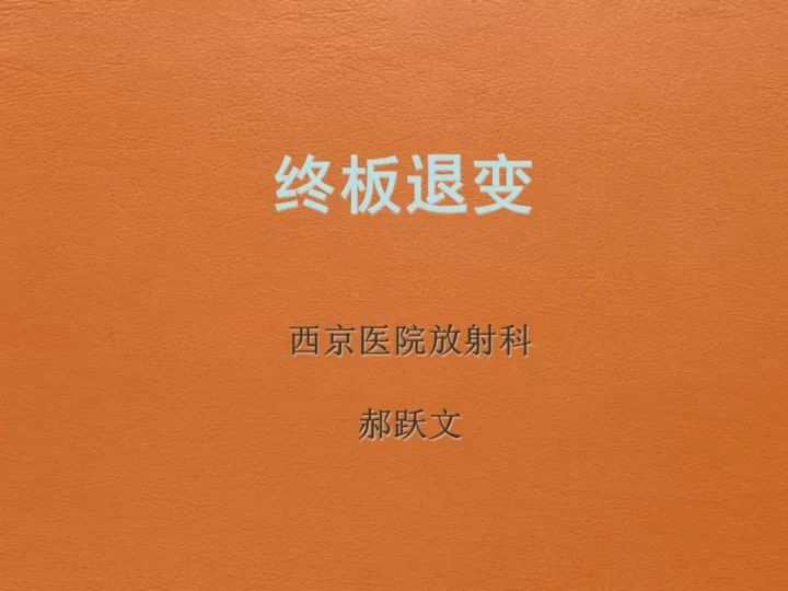 【PPT】终板退变