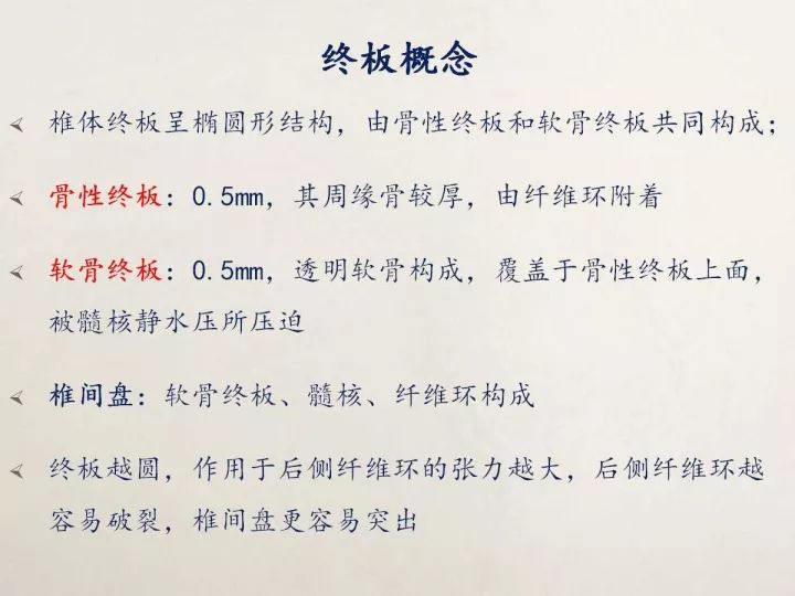 【PPT】终板退变