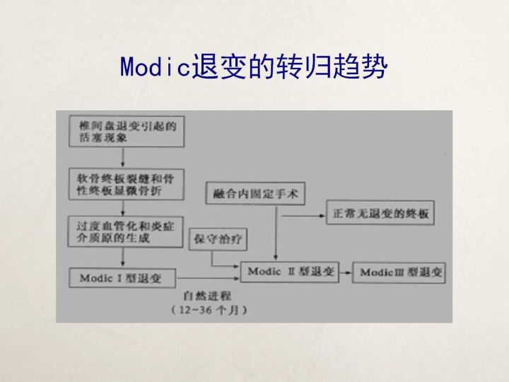 【PPT】终板退变