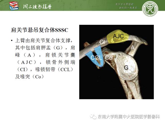 【PPT】急性肩关节损伤：外科医生想获知的内容