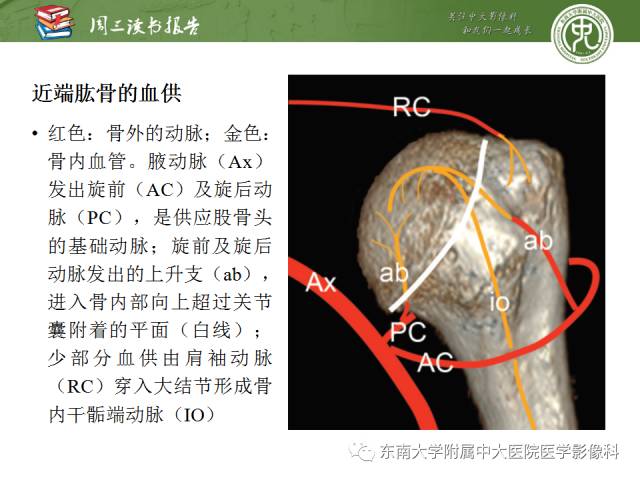 【PPT】急性肩关节损伤：外科医生想获知的内容