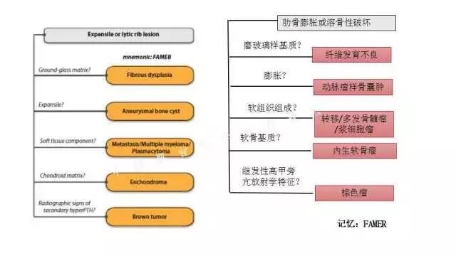 【PPT】常见骨骼病变的诊断与鉴别诊断
