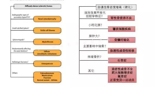 【PPT】常见骨骼病变的诊断与鉴别诊断