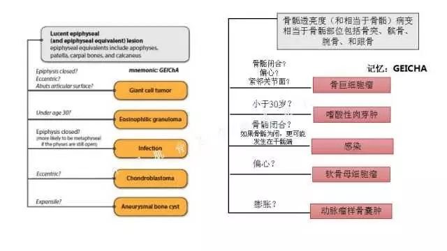 【PPT】常见骨骼病变的诊断与鉴别诊断