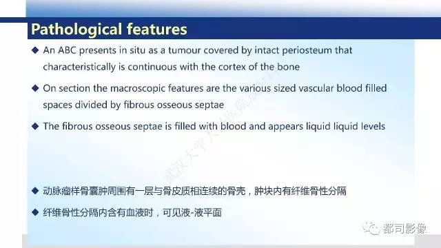 【PPT】脊柱良性肿瘤及肿瘤样病变影像诊断
