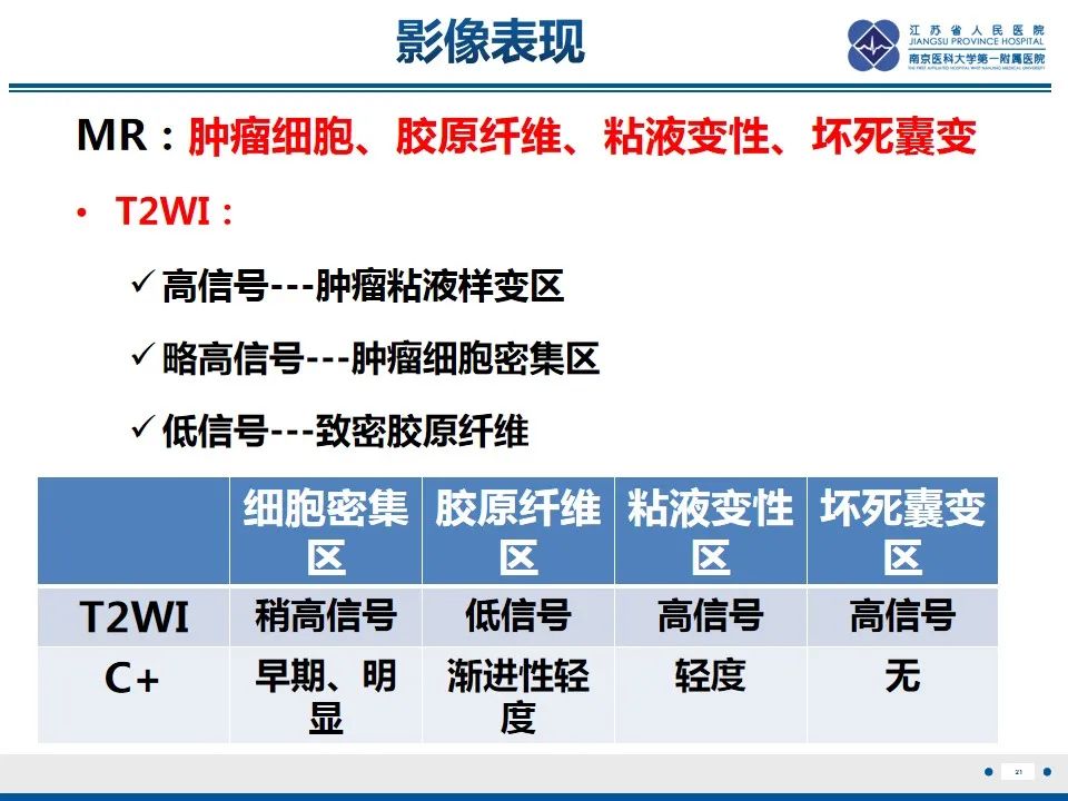 【PPT】盆腔孤立性纤维瘤-22