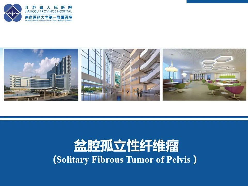 【PPT】盆腔孤立性纤维瘤-40