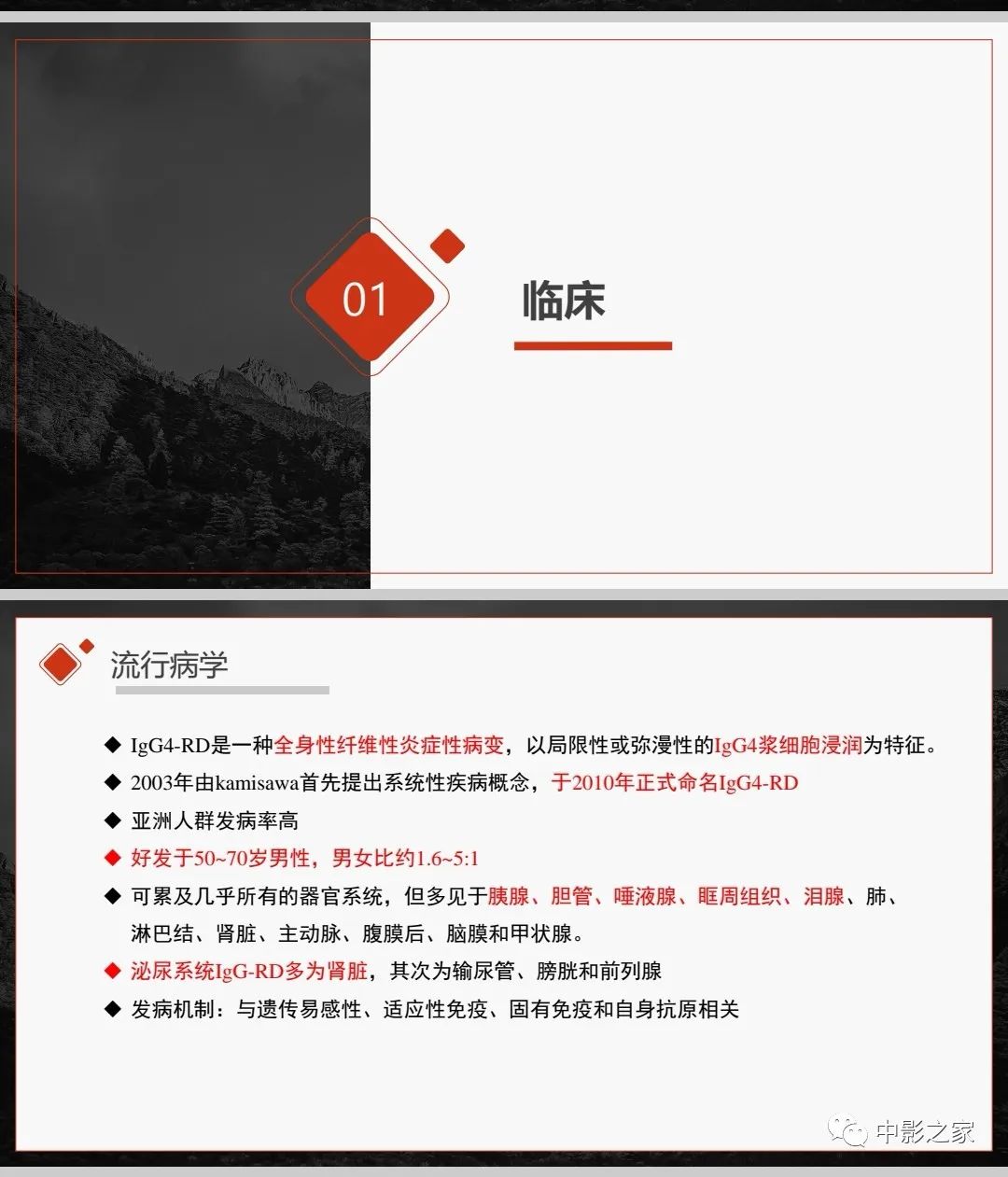 【PPT】肾脏IgG4-RD临床、病理及影像特征-3