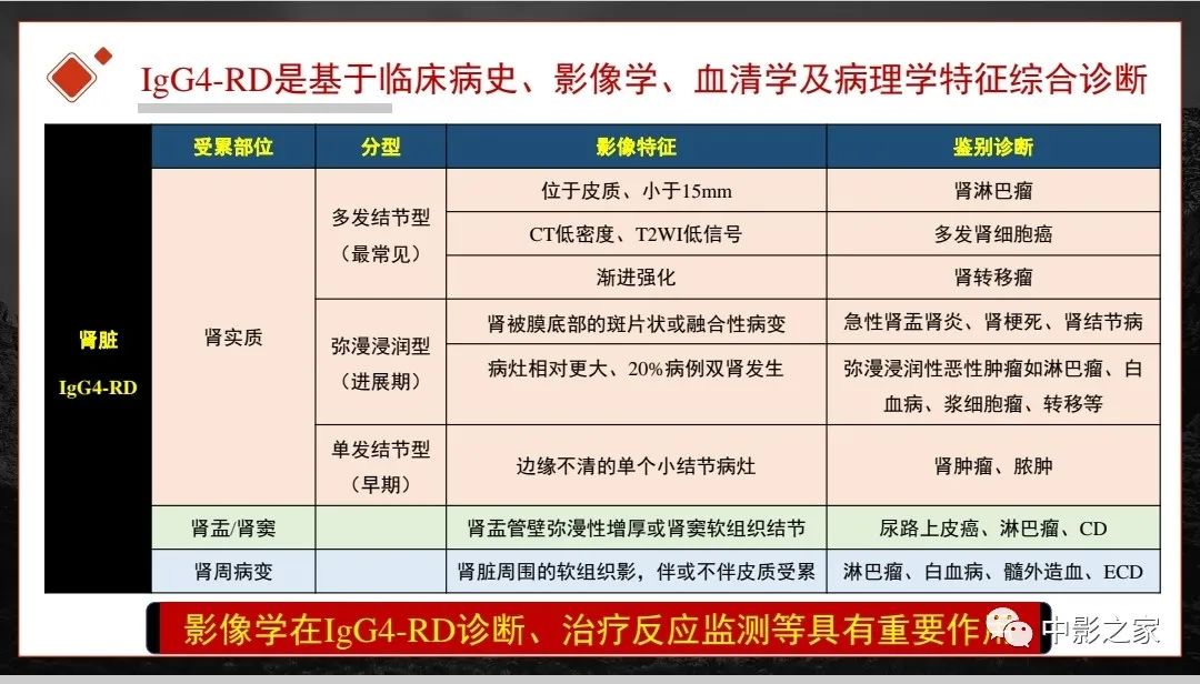 【PPT】肾脏IgG4-RD临床、病理及影像特征-41