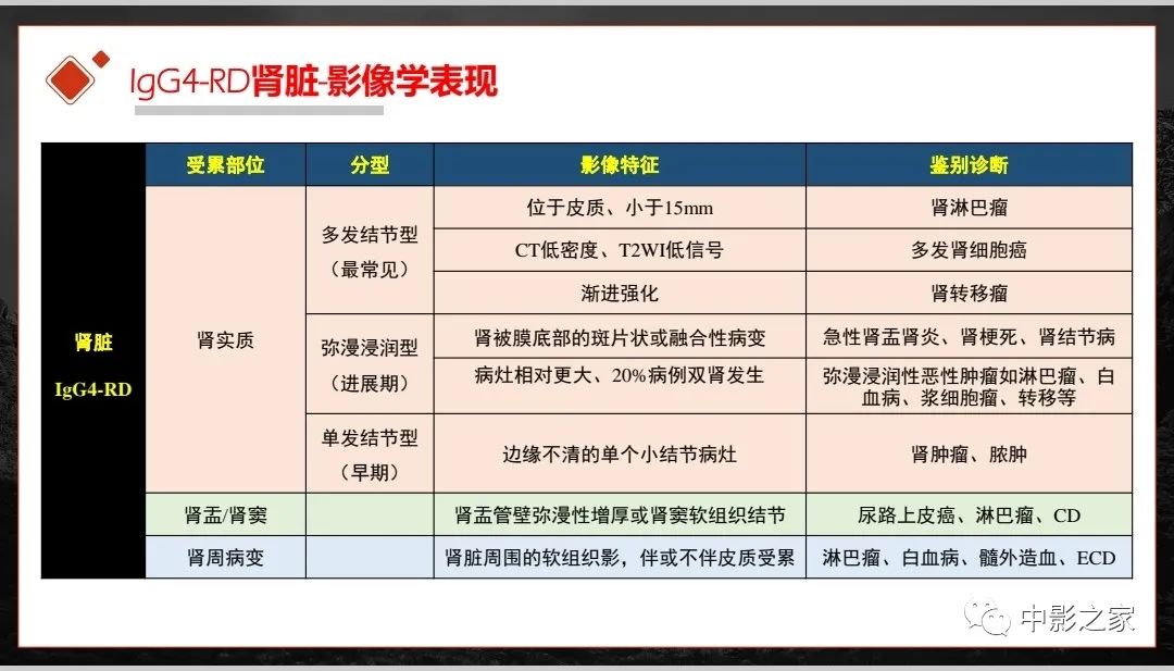 【PPT】肾脏IgG4-RD临床、病理及影像特征-13