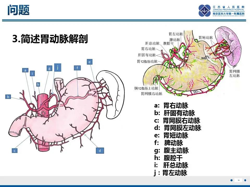 【PPT】胃恒径动脉综合征-15