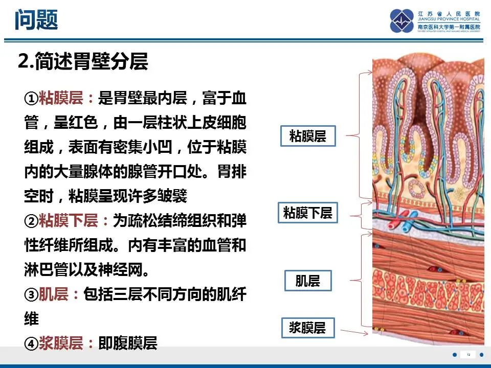 【PPT】胃恒径动脉综合征-13