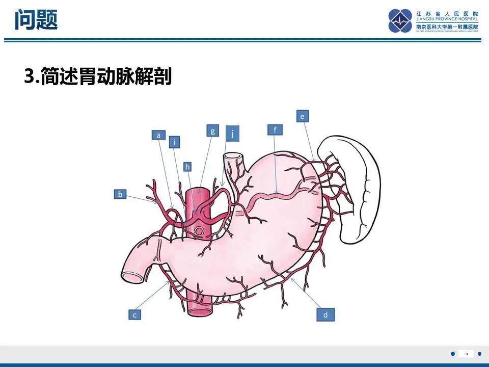 【PPT】胃恒径动脉综合征-14