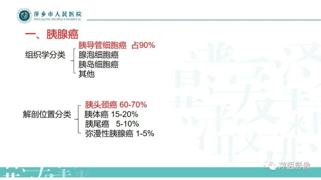 【PPT】胰腺实性假乳头状瘤-14