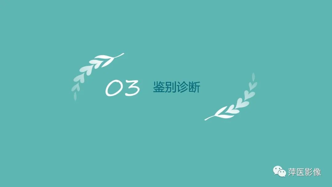 【PPT】胰腺实性假乳头状瘤-13