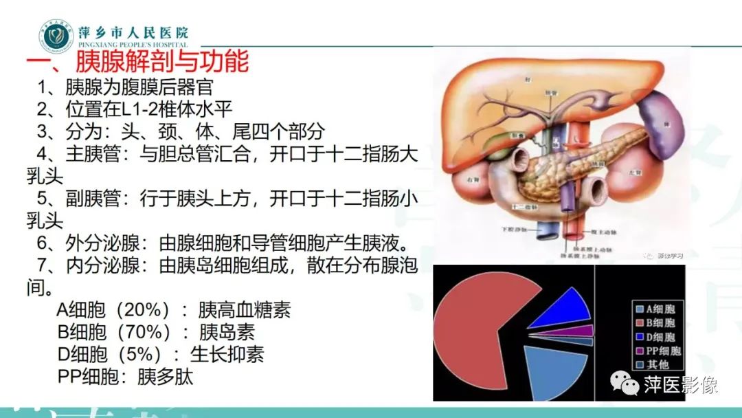 【PPT】胰腺实性假乳头状瘤-4