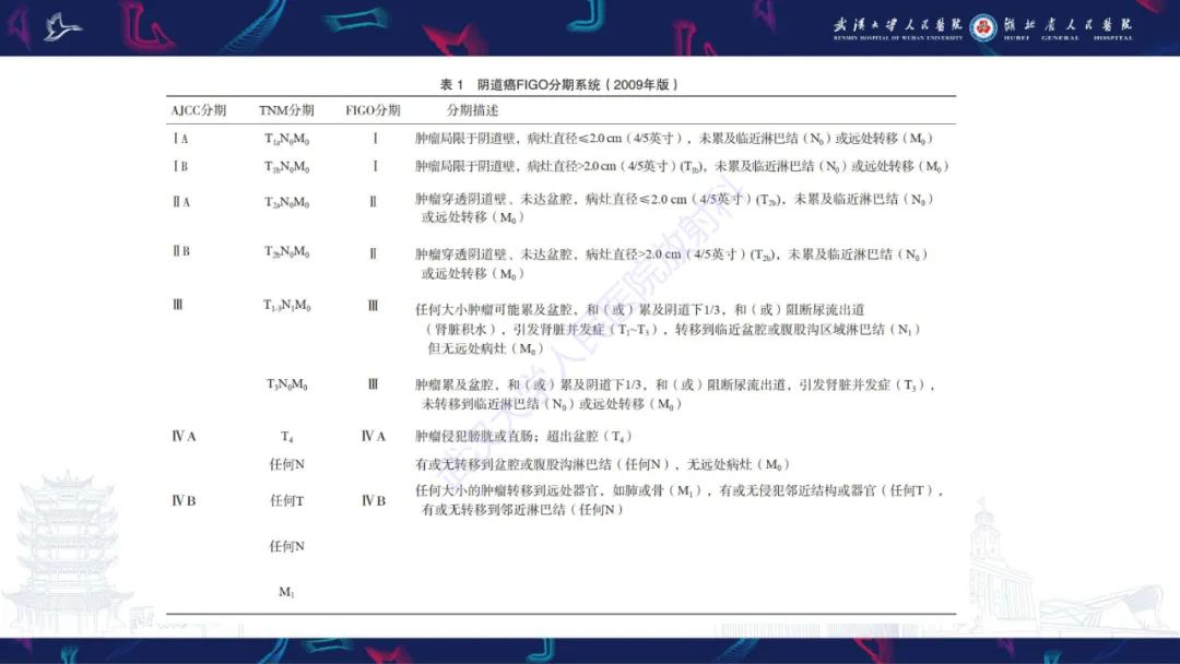 【PPT】阴道髓系肉瘤影像诊断-26