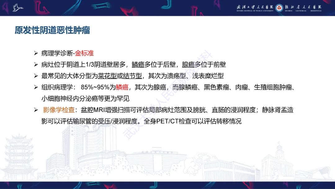 【PPT】阴道髓系肉瘤影像诊断-25