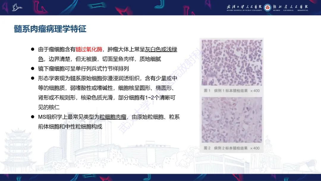 【PPT】阴道髓系肉瘤影像诊断-12