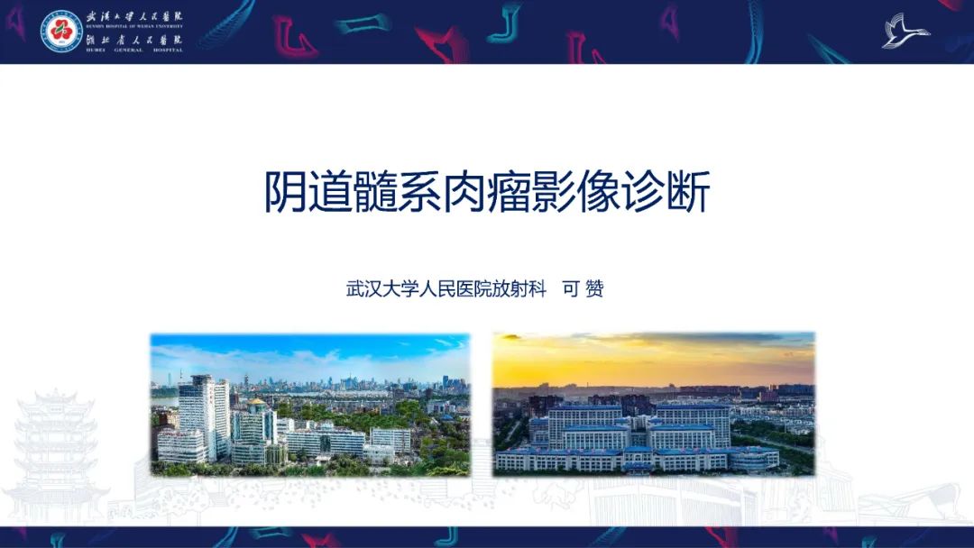 【PPT】阴道髓系肉瘤影像诊断-1