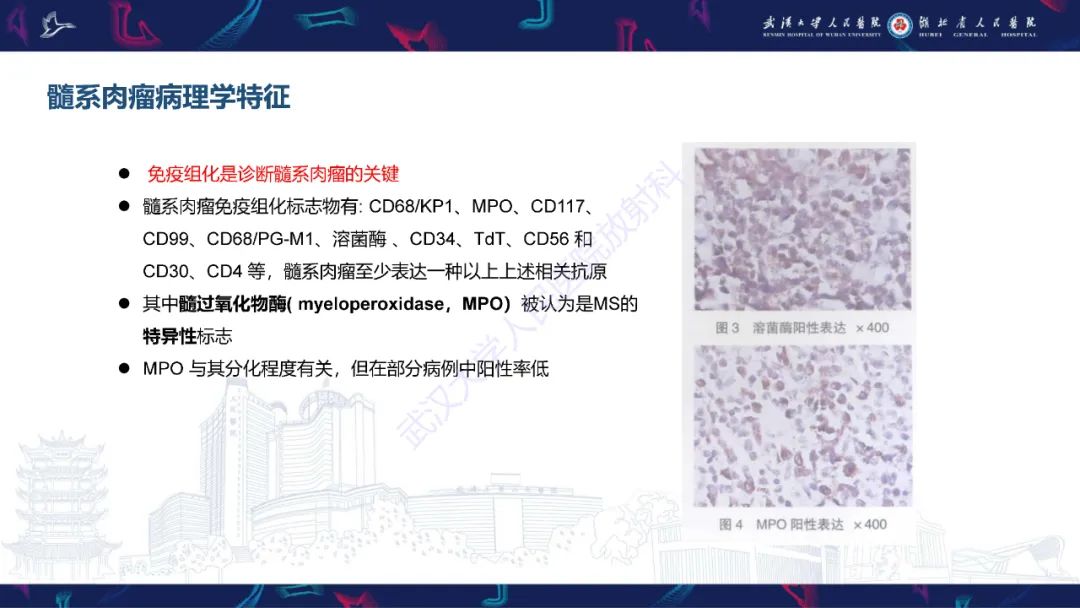 【PPT】阴道髓系肉瘤影像诊断-13