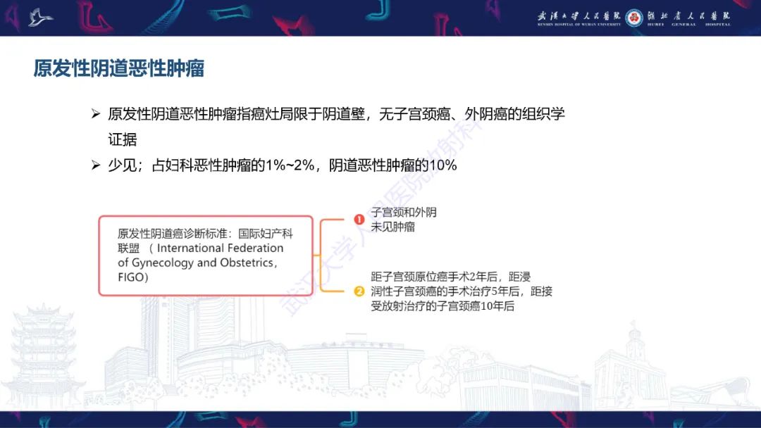 【PPT】阴道髓系肉瘤影像诊断-24