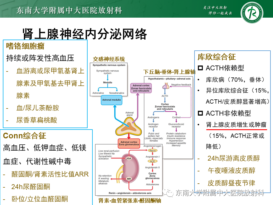【PPT】肾上腺占位病例随访-4
