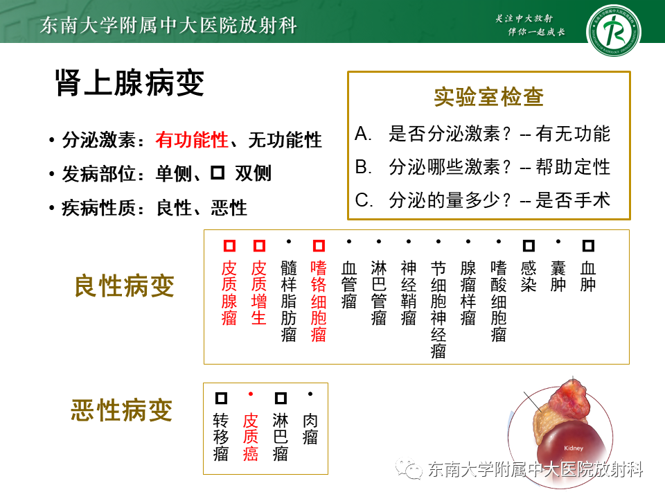【PPT】肾上腺占位病例随访-5