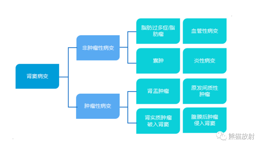 【PPT】肾窦病变影像诊断思路-20