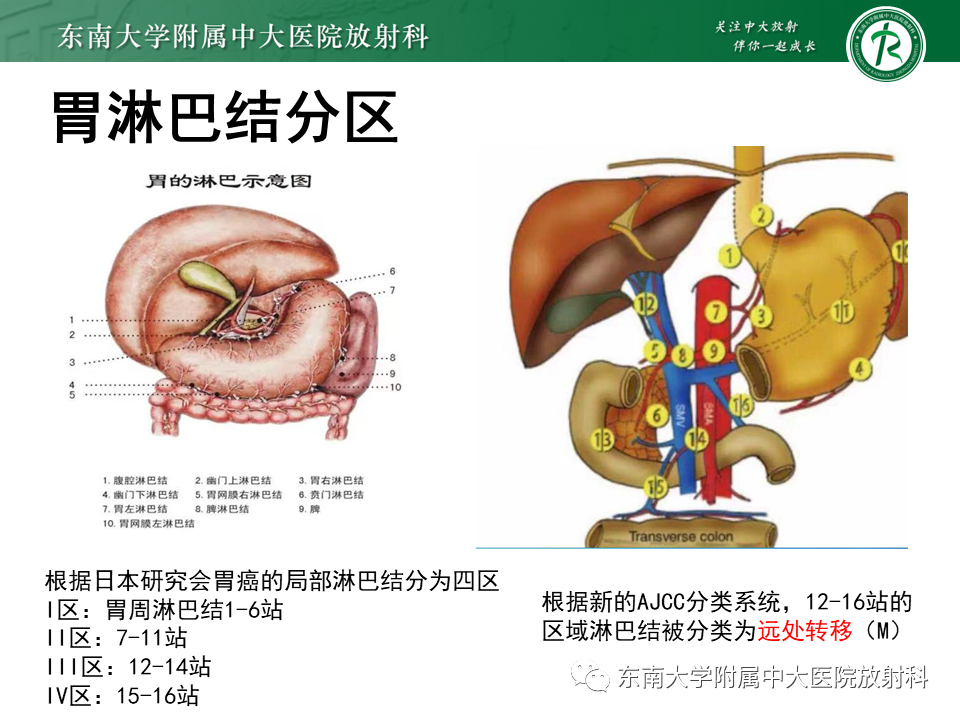 【PPT】胃黏膜相关淋巴组织(MALT)淋巴瘤-6
