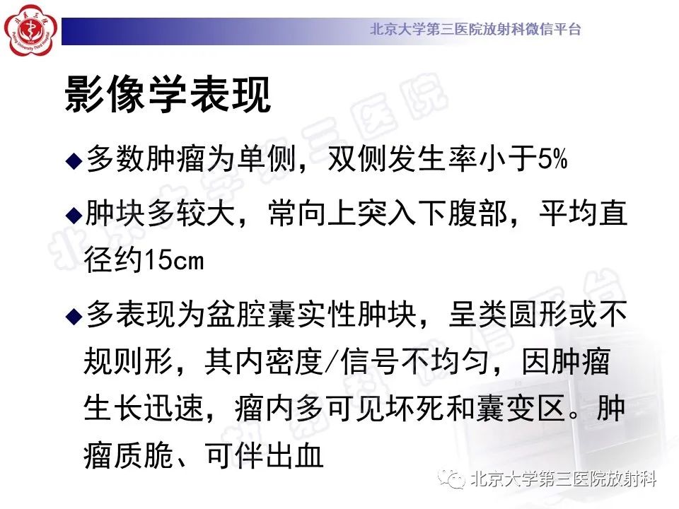 【PPT】卵巢卵黄囊瘤/内胚窦瘤-14