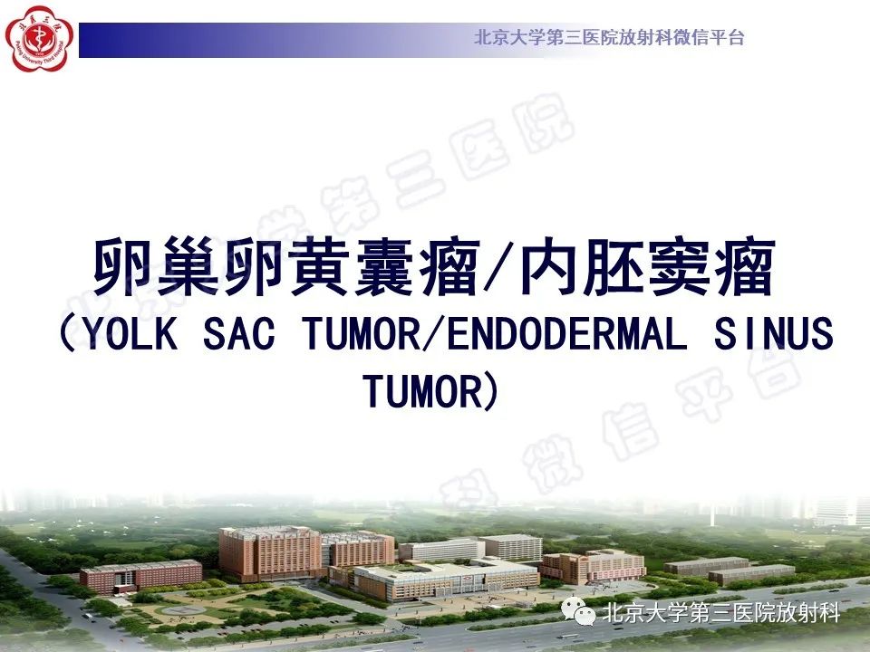 【PPT】卵巢卵黄囊瘤/内胚窦瘤-9