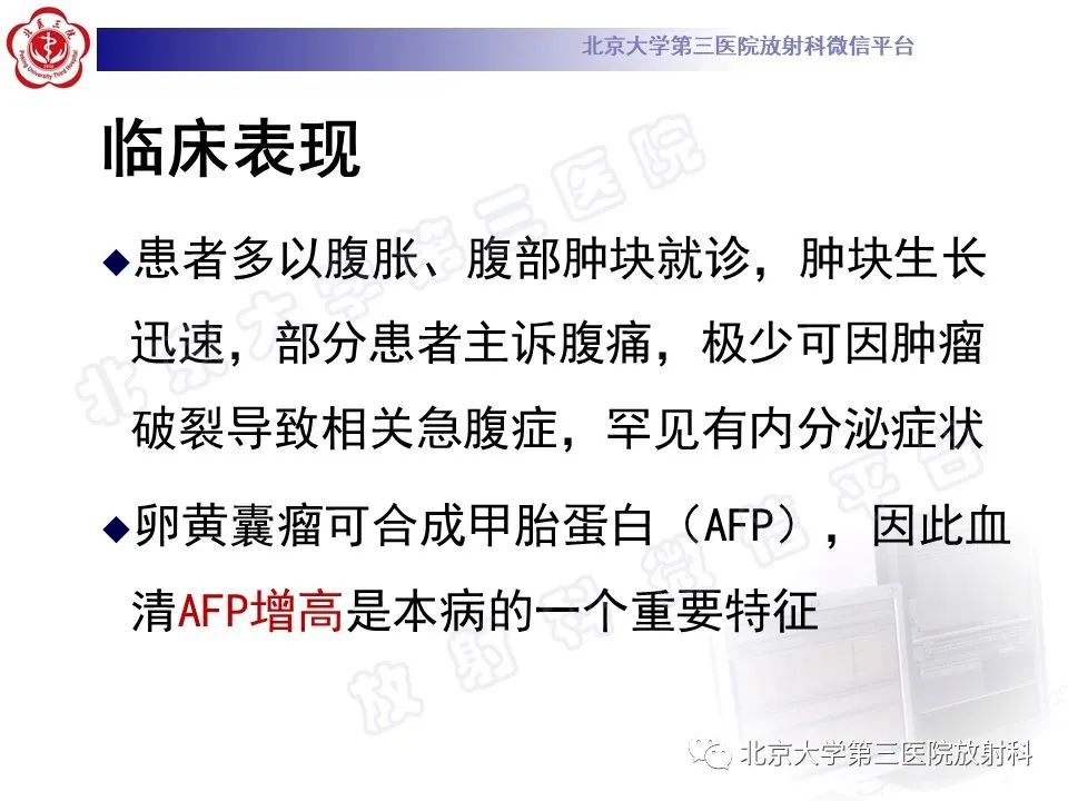 【PPT】卵巢卵黄囊瘤/内胚窦瘤-13