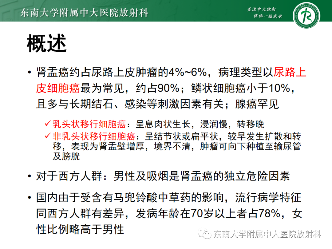 【PPT】肾盂癌-7