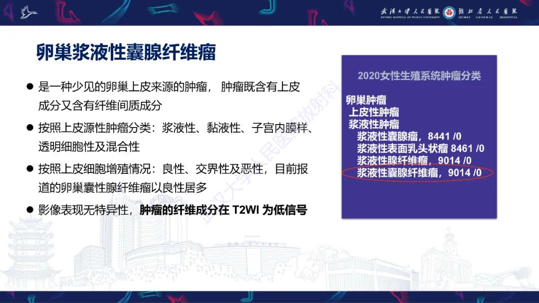 【PPT】盆腹腔巨大占位性病变影像诊断-38