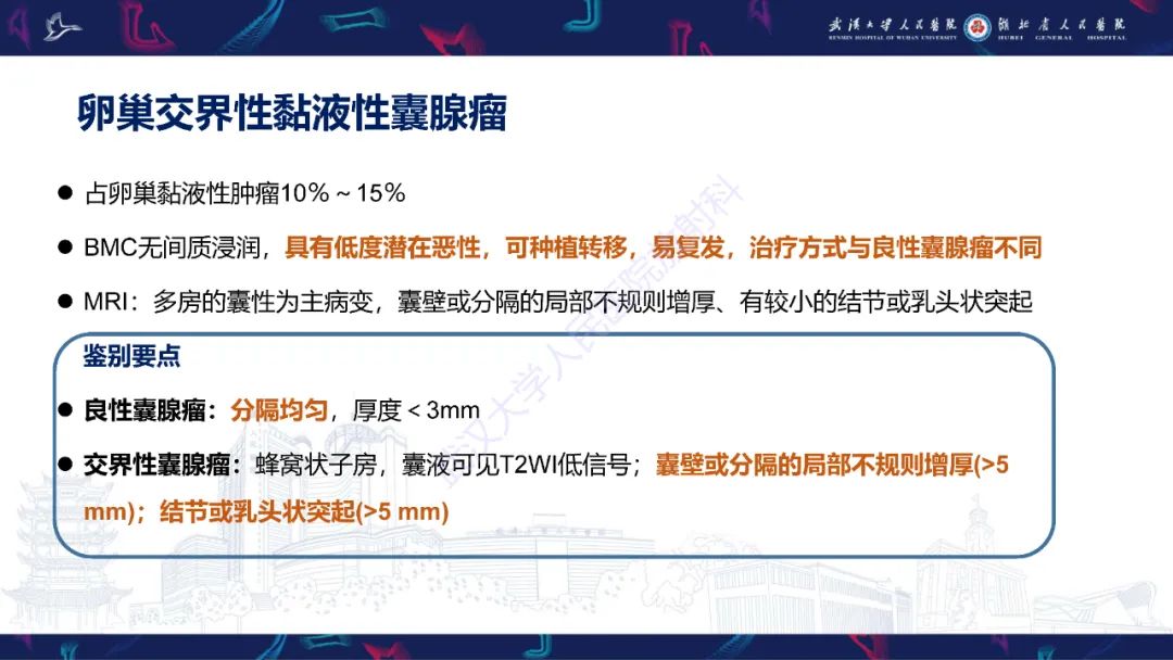 【PPT】盆腹腔巨大占位性病变影像诊断-22