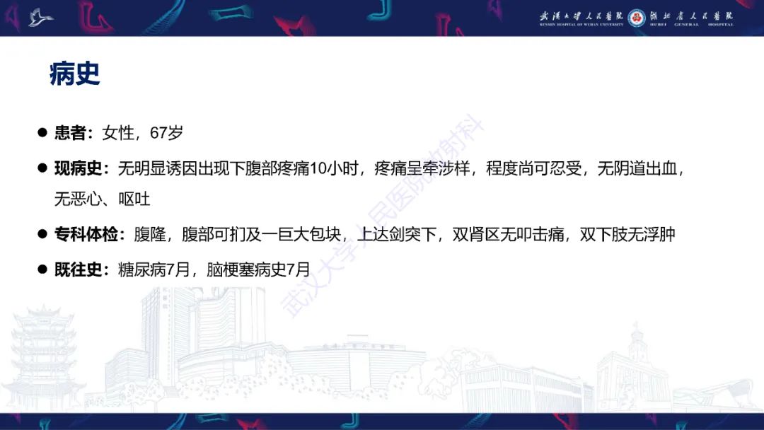 【PPT】盆腹腔巨大占位性病变影像诊断-2