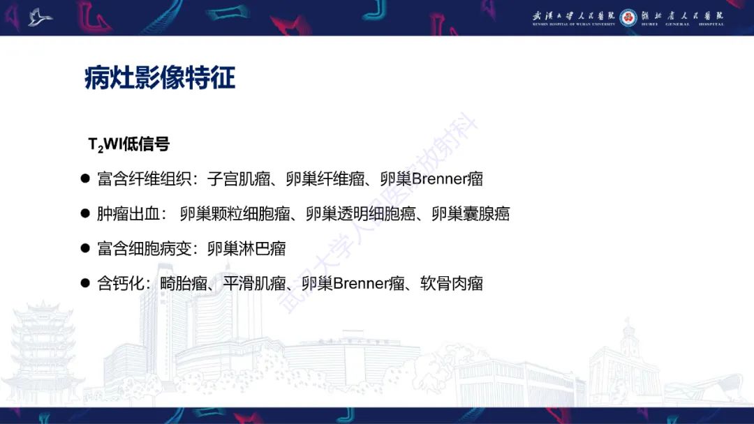 【PPT】盆腹腔巨大占位性病变影像诊断-52