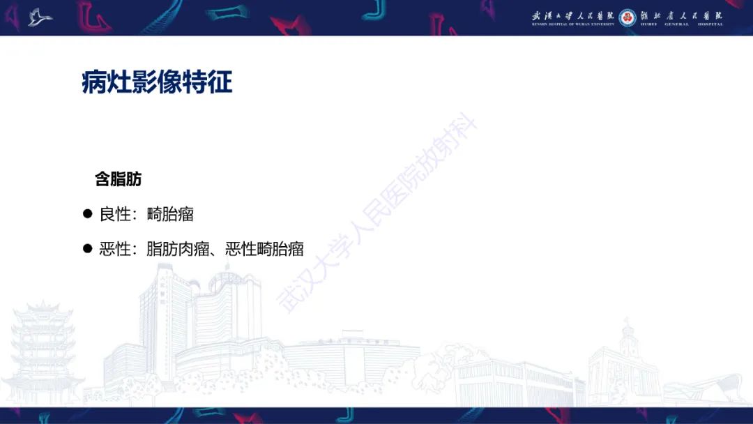 【PPT】盆腹腔巨大占位性病变影像诊断-50