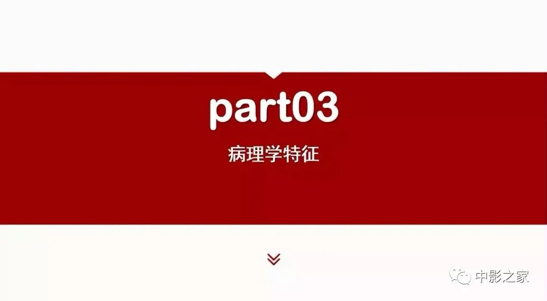 【PPT】肾嫌色细胞癌影像诊断、鉴别、分级与预后评估-11