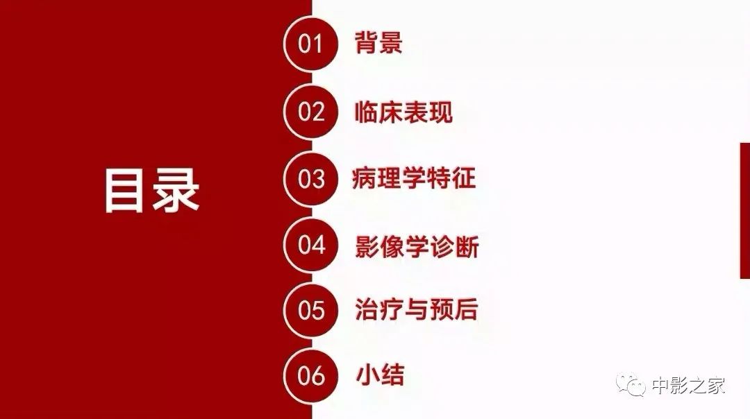 【PPT】肾嫌色细胞癌影像诊断、鉴别、分级与预后评估-3